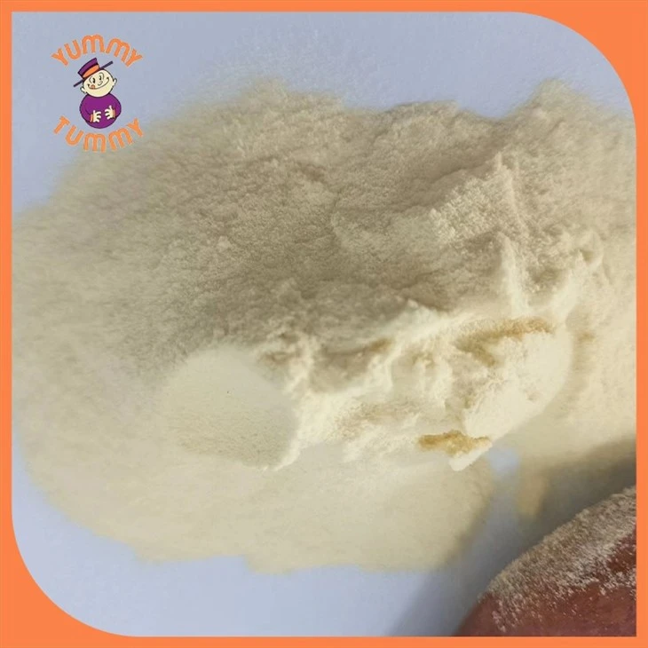 Orange Juice Powder